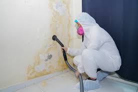 Best Mold Documentation for Insurance Claims  in USA